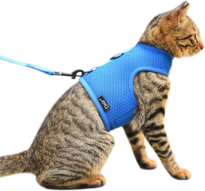 Cat Harness and Leash for Walking Escape Proof Breathable Mesh Fabric, Solid by Yizhi+Miaow