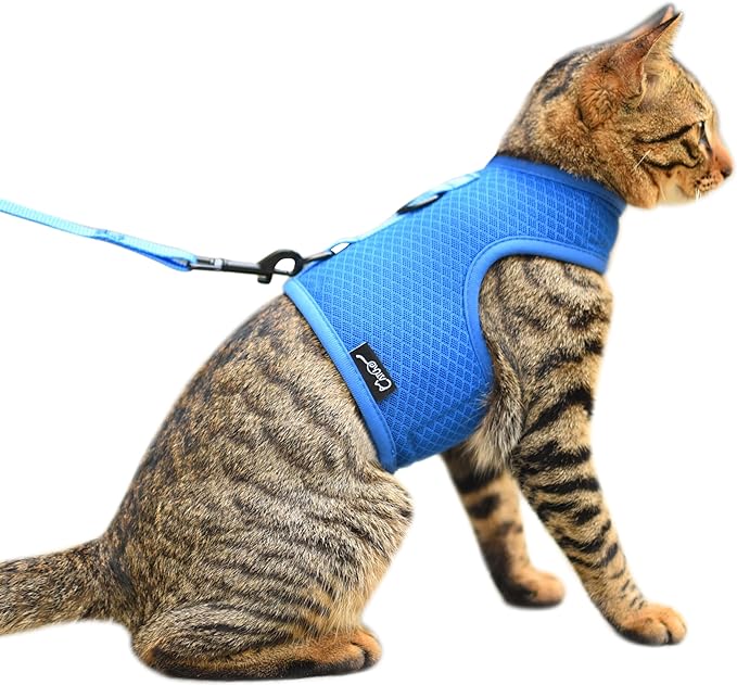 Kitty Harness and Leash for Walking Escape Proof Breathable Mesh Fabric by Yizhi+Miaow