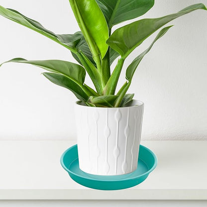 2 Pack of 14 inch Plant Saucers Bird Bath Bow Round, Plastic Plant Saucer Tray - Image 5