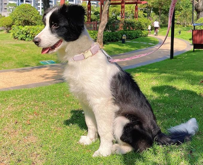 Soft Cotton Hemp Dog Collar - Image 5
