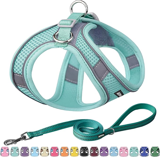 AIITLE No Pull Dog Harness and Leash Set, Step in Adjustable Dog Harness by AIITLE-FORPETSBETTERLIFE