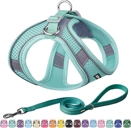AIITLE Easy Walk Dog Harness and Leash Set by AIITLE-FORPETSBETTERLIFE