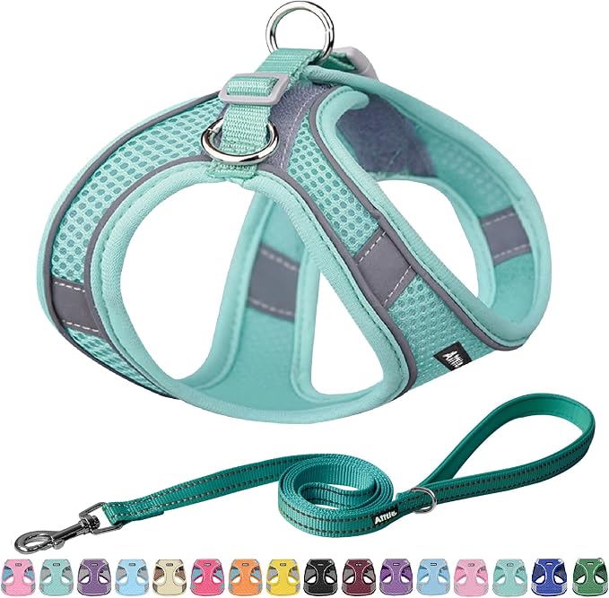 AIITLE Step in Dog Harness and Leash Set by AIITLE-FORPETSBETTERLIFE