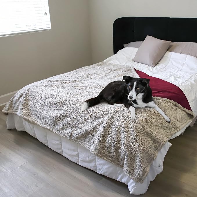 Kritter Planet Waterproof Pet Blanket - Image 5
