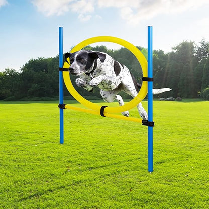 Pet Prime Dog Agility Training Equipment - Image 6
