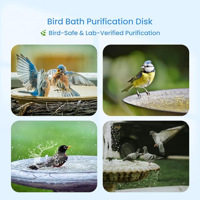 Bird Bath Purification Disk, 99.99% Copper Disc - Image 4