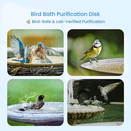 Bird Bath Purification Disk, 99.99% Copper Disc - Image 4