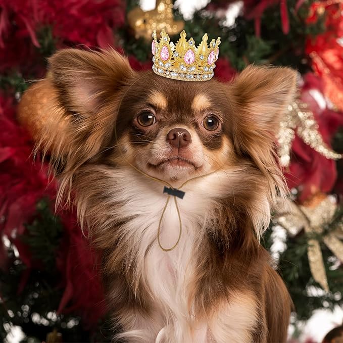 Abbylike Pet Rhinestone King Crown, Queen Crown - Image 6
