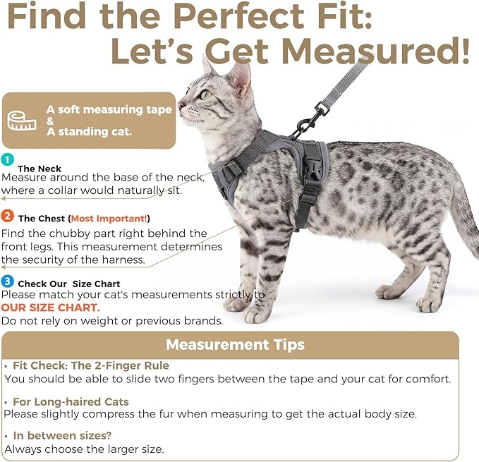 Cat Harness and Leash Set Escape Proof Tactical Extra Large Kitten Harness - Image 2