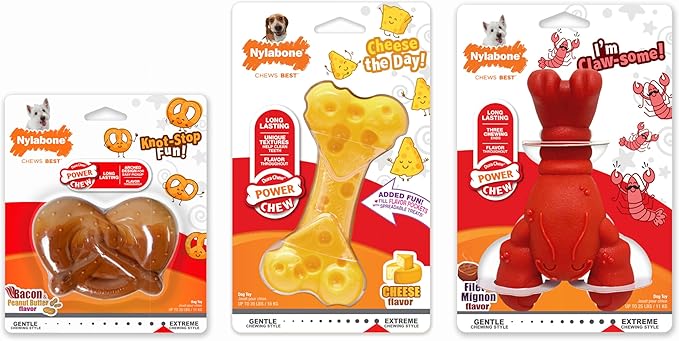 Nylabone Power Chew Toy Bundle, Cute Dog Toys - Image 10