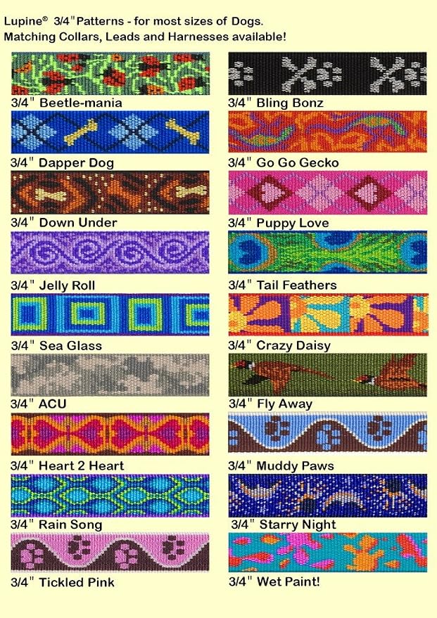LupinePet Originals 3/4" Rain Song 13-22" Adjustable Collar - Image 3