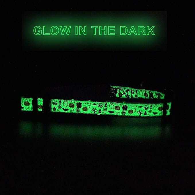 Pawtitas Glow in The Dark Cat Collar - Image 8