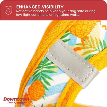 Downtown Pet Supply Step-in Dog Harness – No Pull, Adjustable Padded Mesh - Image 7