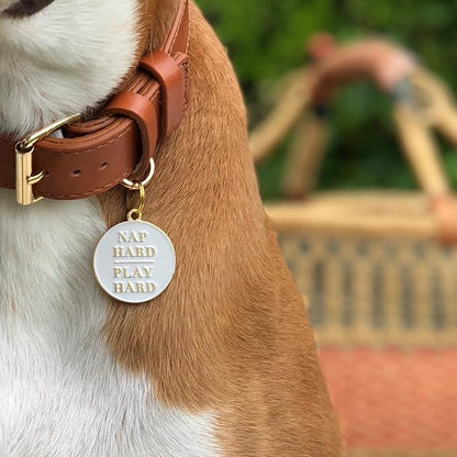 Two Tails Pet Company Personalized 'Nap Hard, Play Hard' Pet ID Tag & Collar - Image 3