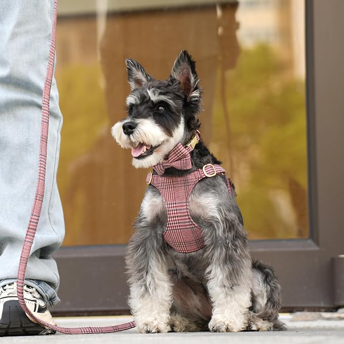 Beirui Cute Extra Small Dog Harness Collar and Leash Set - Image 4
