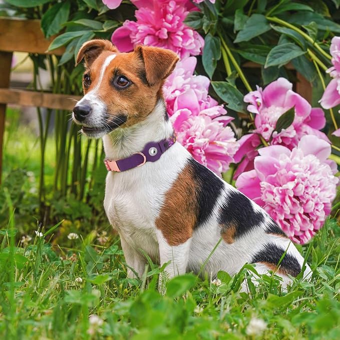 AirTag Dog Collar for Small Medium Large Breed - Image 7