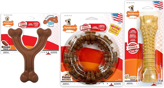 Nylabone Customer Favorites Power Chew Toy Bundle - Image 10