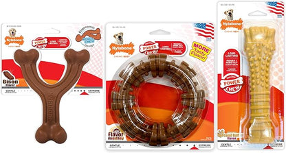 Nylabone Customer Favorites Power Chew Toy Bundle - Image 10