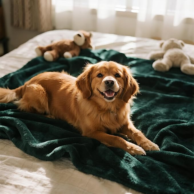 gogobunny Waterproof Bed Blanket, Reversible Sherpa Fleece Throw Blanket - Image 4
