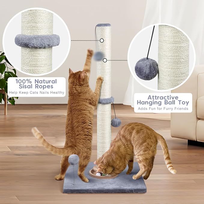Fantasreen 31" Cat Scratching Post Kitten Toys - Image 4