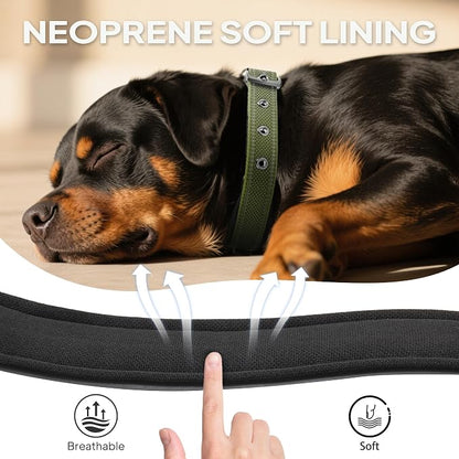 PetiFine Dog Collars for Medium Dogs, Neoprene Padded and Adjustable, - Image 4
