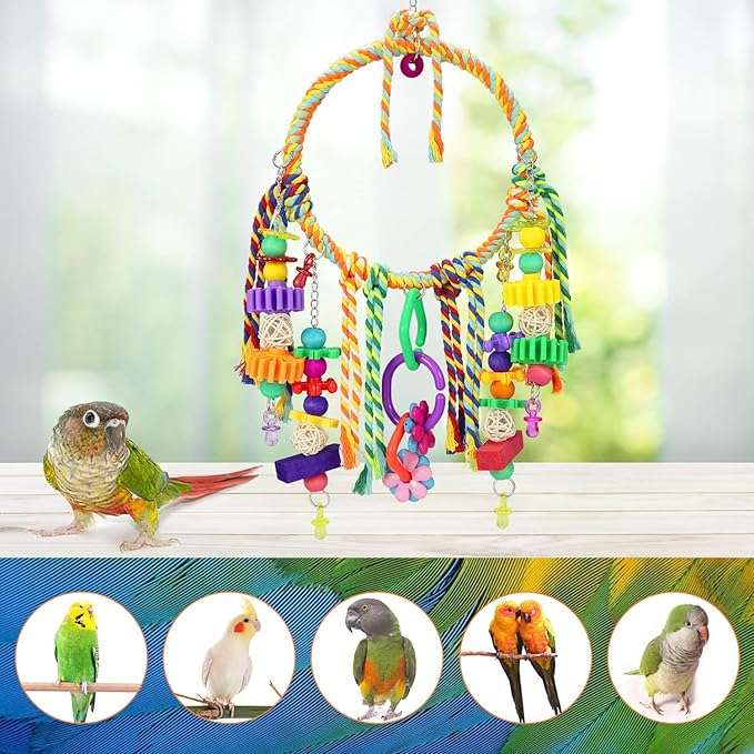 Bird Swing Toy with Perches - Image 5