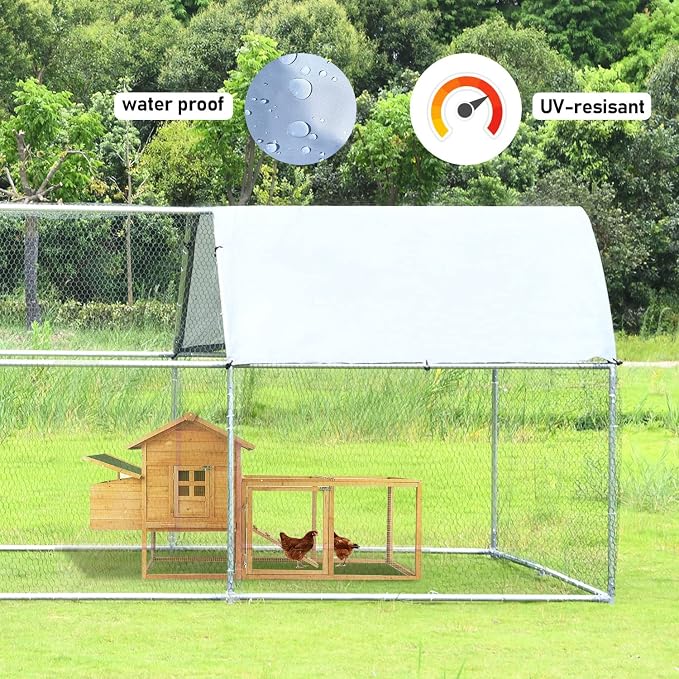1.26'' Chicken Runs for Yard - Image 4
