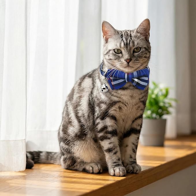 THAIN Cat Collar Breakaway - Image 5