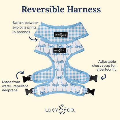 Lucy & Co. Cute Reversible Dog Harness Walking Halter - Image 5
