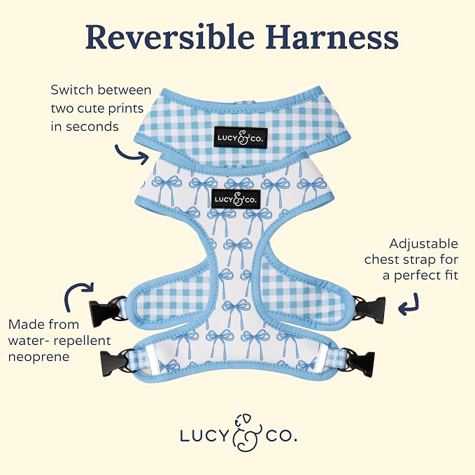 Lucy & Co. Cute Reversible Dog Harness Walking Halter - Image 4