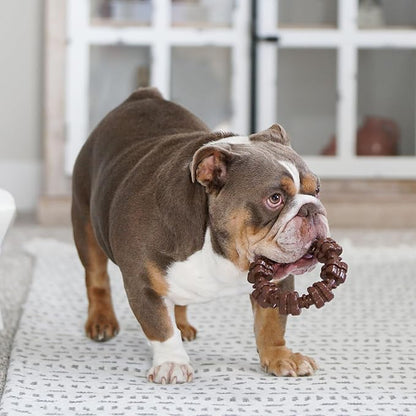 Nylabone Customer Favorites Power Chew Toy Bundle - Image 2