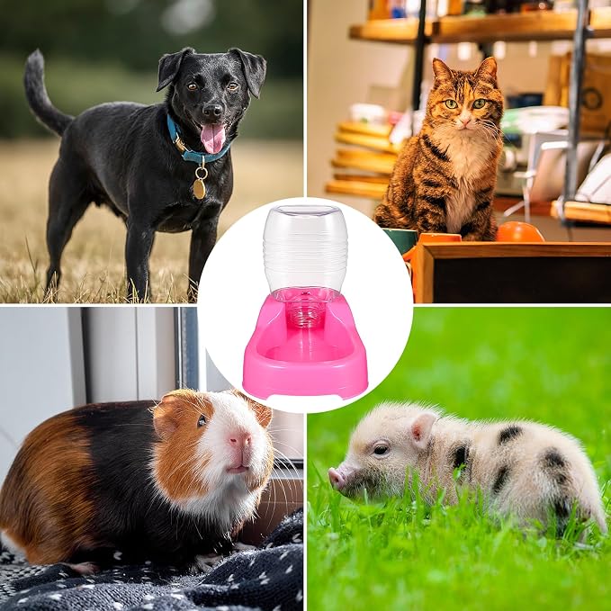 POPETPOP Automatic Pet Feeder, Suitable - Image 4