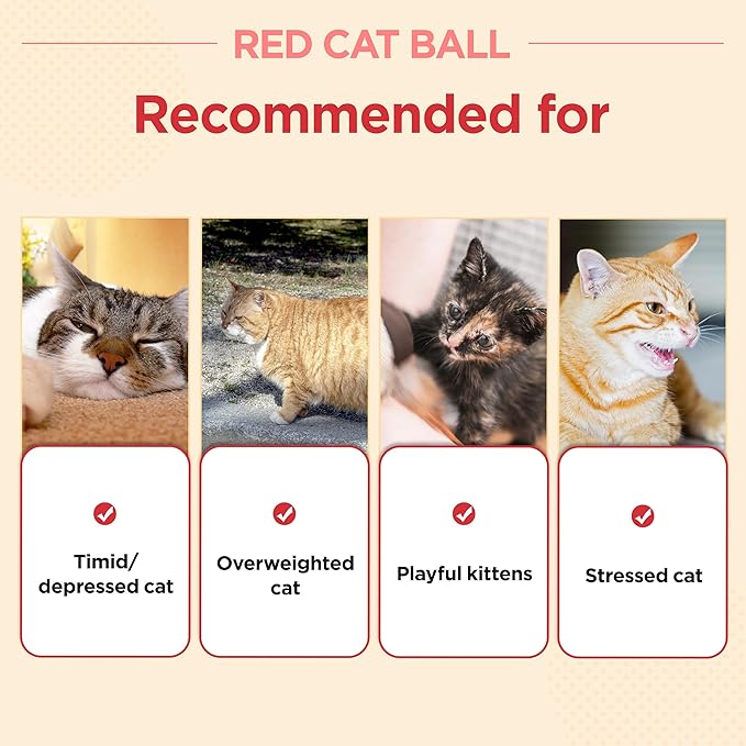 JAYU PET Red Cat Ball - Image 5