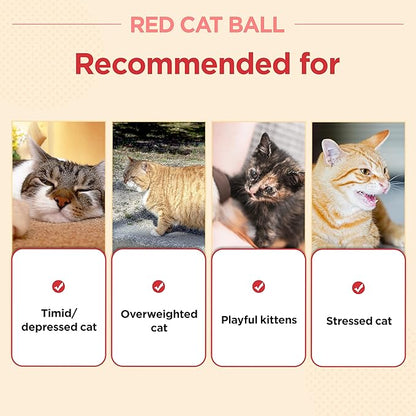JAYU PET Red Cat Ball - Image 5