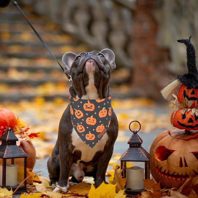 ADOGGYGO Halloween Dog Bandanas 2 Pack, Reversible Pumpkin Ghost Scarf - Image 3