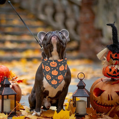 ADOGGYGO Halloween Dog Bandanas 2 Pack, Reversible Pumpkin Ghost Scarf - Image 3