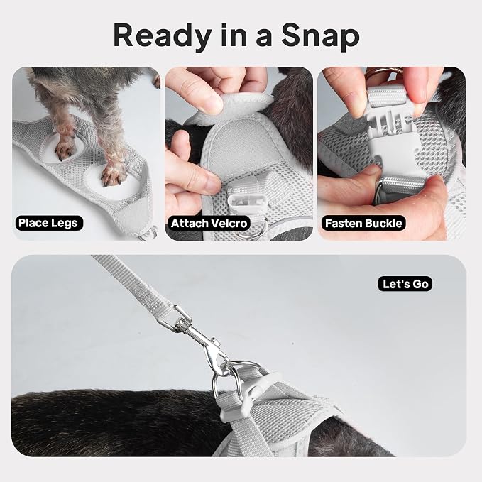 PetiFine Step in Small Dog Harness and Leash Set, Breathable All Weather Air - Image 9