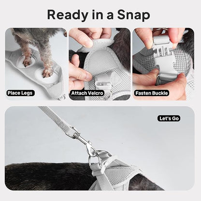 PetiFine Step in Small Dog Harness and Leash Set, Breathable All Weather Air - Image 9