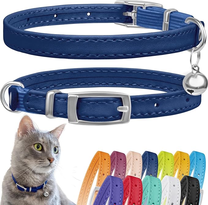 CollarDirect Leather Cat Collar, Kitten Collar by CollarDirect