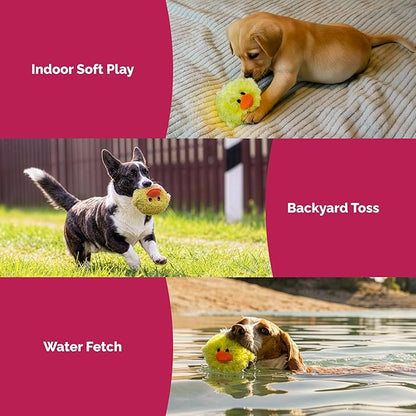 Pet Lou DOG'Z 4 Inch EZ Squeaky Chick Dog Plush Toy, Stuffing-Free Soft Plush - Image 6