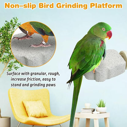 PINVNBY 6 PCS Bird Perch Parrot Beak Grinding Stone Calcium Mineral Parrot - Image 4