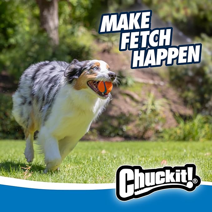 Chuckit Gen 1 Fetch Pack Dog Balls - Image 5