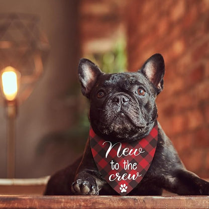 New Puppy Announcement Dog Bandana, Adopted Puppies Reveal Gift - Image 2