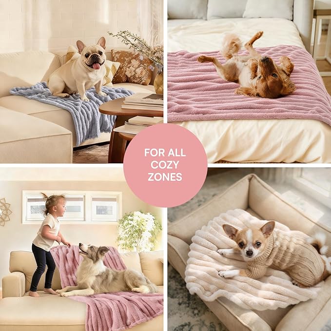 LINENLUX 1 Pack 3 Soft Fleece Dog Blanket - Image 5