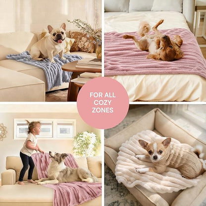 LINENLUX 1 Pack 3 Soft Fleece Dog Blanket - Image 5