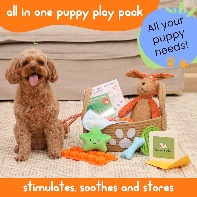 Premium Puppy Starter Kit - Image 4