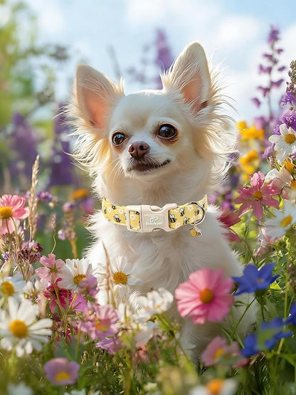 Bee & Daisy Dog Collar for Medium Dogs - Image 6