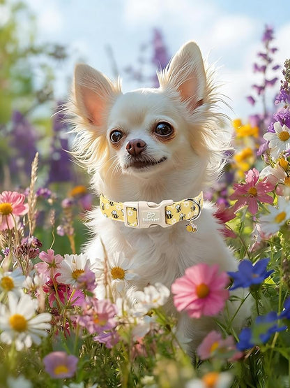 Bee & Daisy Dog Collar for Puppy Small Dogs - Image 6