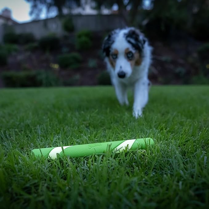 Chuckit! Max Glow Ultra Fetch Stick Outdoor Dog Toy, 12 Inches - Image 5
