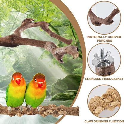 6-Piece Bird Perch Set - Image 3